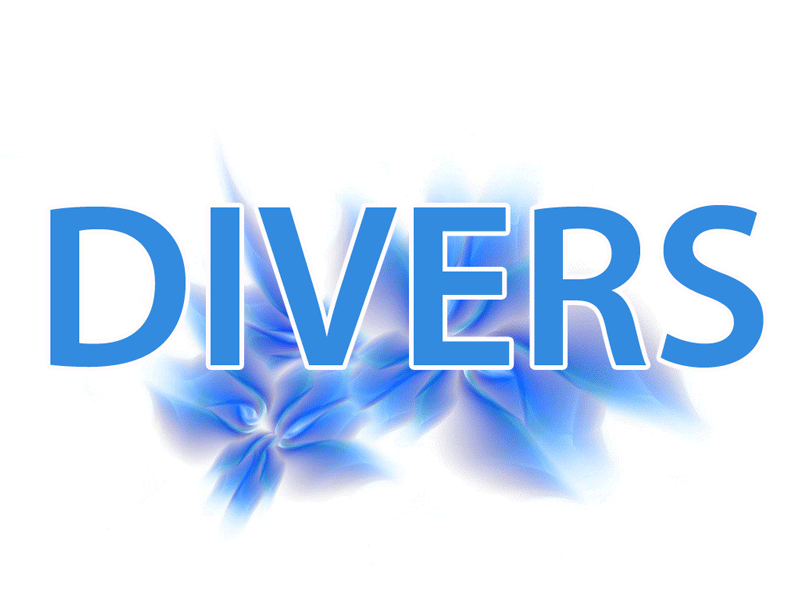 Divers Services